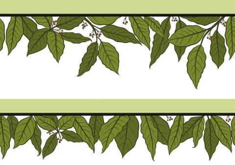 Laurel Bay Leaf, Seamless Stock Illustration