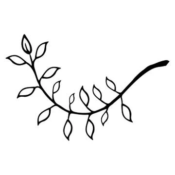 Laurel branch icon. Vector illustration of a branch with leaves. Hand drawn l Stock Illustration