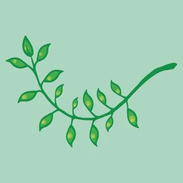 Laurel branch icon. Vector illustration of a branch with leaves. Hand drawn c Stock Illustration