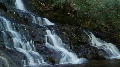 Laurel Falls 스톡 동영상 82507047