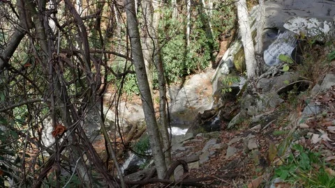 Laurel Falls Waterfall 스톡 동영상 82509864