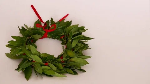 Laurel graduate Stock Footage 79223662