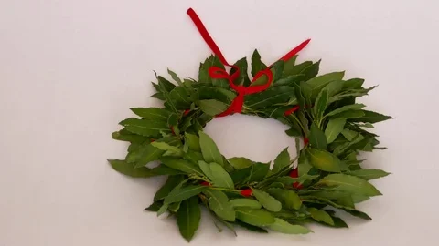 Laurel graduate Stock Footage 79223682