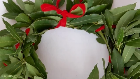 Laurel graduate Stock Footage 79236162