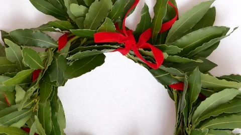 Laurel graduate Stock Footage 79268249