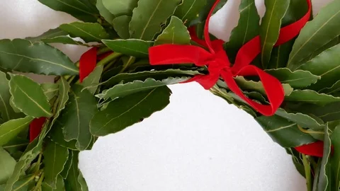 Laurel graduate Stock Footage 79291375