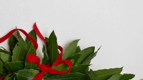 Laurel graduate Stock Footage 79291410