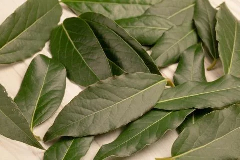 Laurel leaf background on wood table. Top view. Flat lay pattern Stock Photos