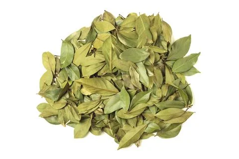 Laurel leaves Stock Photos