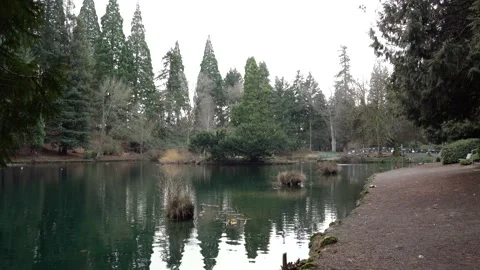 Laurelhurst Park, Oregon 4k Stock Footage 187737675