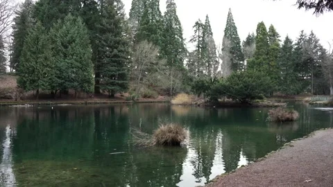 Laurelhurst Park, Oregon 4k Stock Footage 187737946