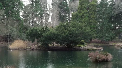 Laurelhurst Park, Oregon 4k Stock Footage 187738046