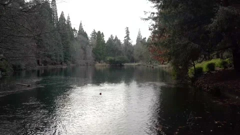 Laurelhurst Park, Oregon 4k Stock Footage 187738050