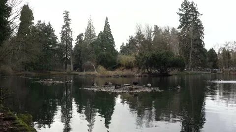 Laurelhurst Park, Oregon 4k Stock Footage 187738834