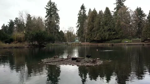 Laurelhurst Park, Oregon 4k Stock Footage 187739509
