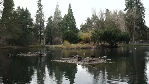 Laurelhurst Park, Oregon 4k Stock Footage 187739567