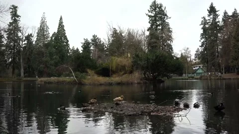 Laurelhurst Park, Oregon 4k Stock Footage 187739659