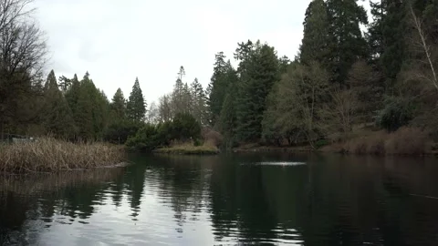 Laurelhurst Park, Oregon 4k Stock Footage 187740749