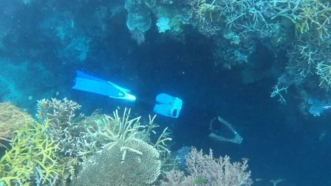 Laut raja Ampat Stock Footage 232190419