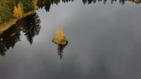 L'automne dans les Vosges d'Alsace en France, DJI drone Stock Footage