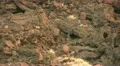 Lava Beds 04 Devils Homestead HD Footage