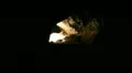 Lava Caves 08 Man Walking HD Footage