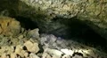 Lava Caves 15 Handy HD Footage