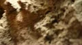 Lava Caves 17 Handy Exit HD Footage