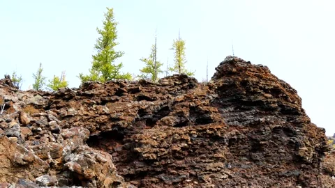 Lava cliff with larches on top. Video stock 234966009
