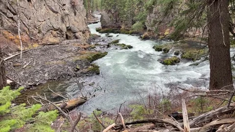 Lava cliffs and rapids on the Deschutes River in Oregon Video stock 329448846