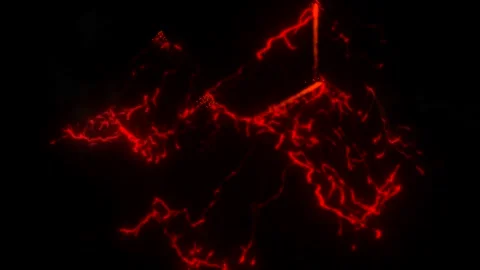 Lava extraction motion graphics with night background Stock Footage 166489208