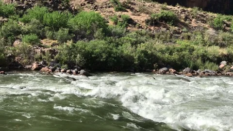 Lava Falls 1 스톡 동영상 75880494