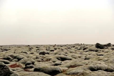 Lava field Photos