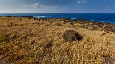 Lava field Stock Photos