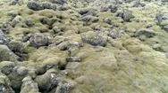 Lava Field Rocks Covered In Thick Green Moss Aerial Drone Flyover Iceland 4K Stock Footage
