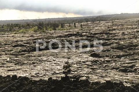 Lava field slope, Big Island, Hawaii. Stock Photos