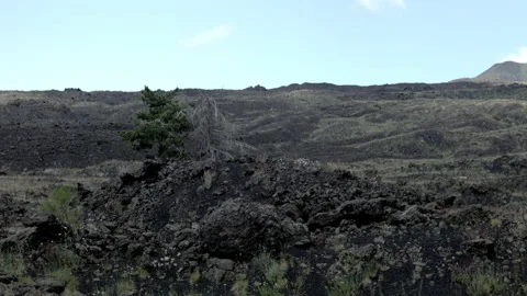 Lava fields of the Etna volcano seen from the car Stock-Footage 233716547
