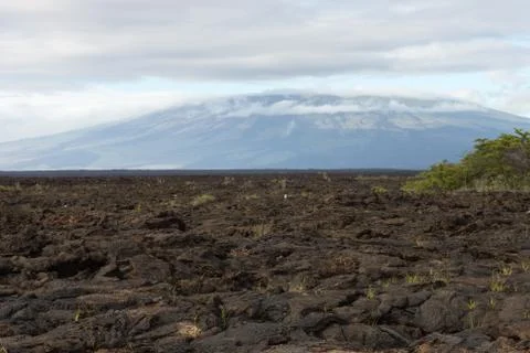 Lava fields extending till the slopes of the volcano. Stock Photos