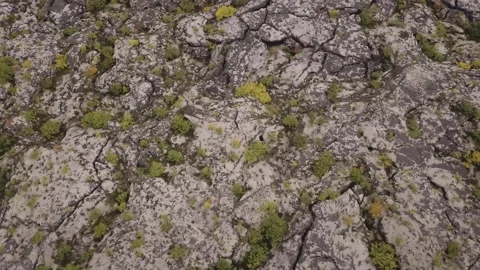 Lava Fields of Iceland top view from drone of the Aerial view. rocks, river and  Stock Footage 134601741