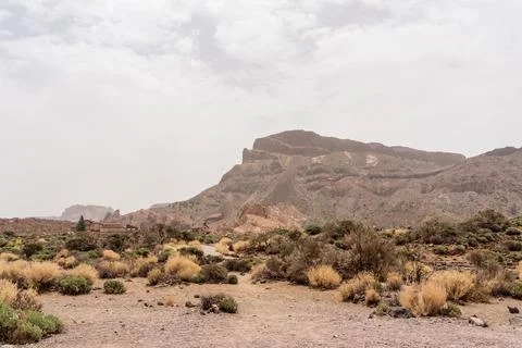 The lava fields of Las Canadas caldera of Teide volcano and rock formations - Stock-Fotos