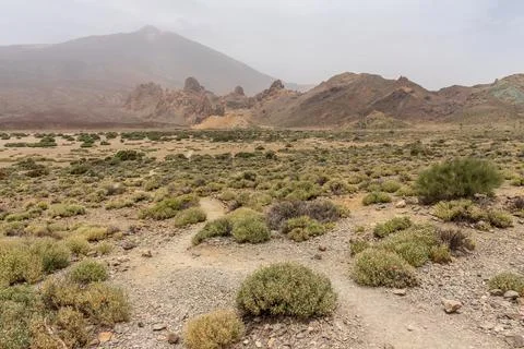 The lava fields of Las Canadas caldera and Teide volcano in the background. T Фото