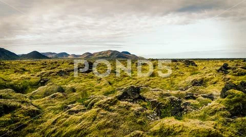 Lava Fields in Reykjavik Stock Photos