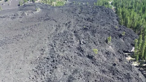 Lava Flow in Central Oregon. Stock Footage 318894331