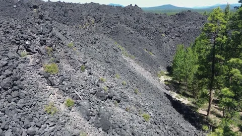Lava Flow in Central Oregon. Vidéo 318897254