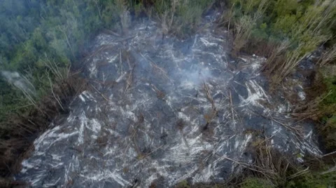 Lava flow destroying a forest 스톡 동영상 49664819