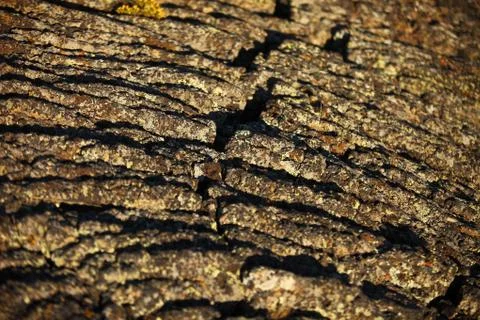 Lava flow Stock Photos