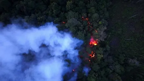Lava flows through forest, glowing orange beneath smoke Video stock 332603720