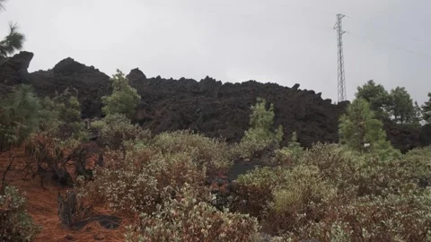 Lava front from the Tajogaite volcano Stock Footage 255484875