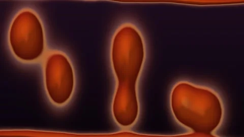 Lava Lamp Stock Footage 342307774