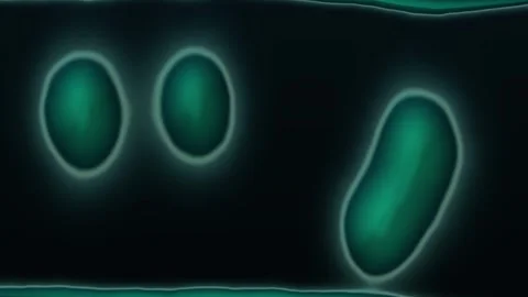 Lava Lamp Stock Footage 342307819